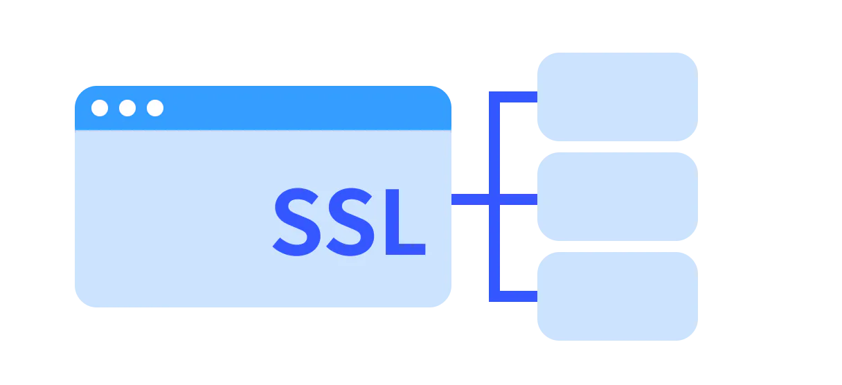 SSL憑證內容圖片：ssl type 3